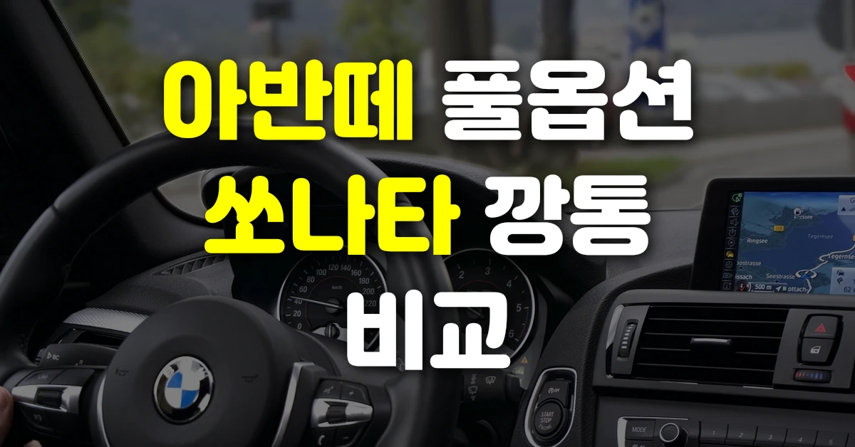 아반떼 풀옵션 쏘나타 깡통 비교