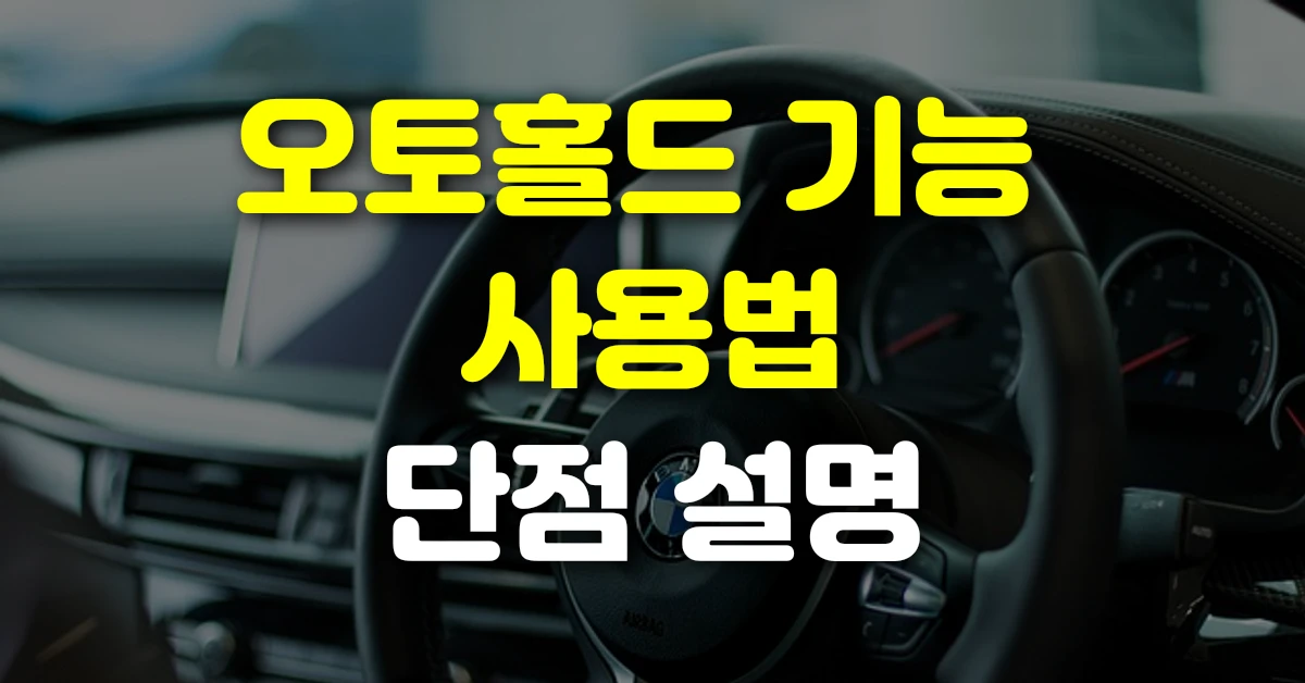 오토홀드 기능 사용법 단점 설명