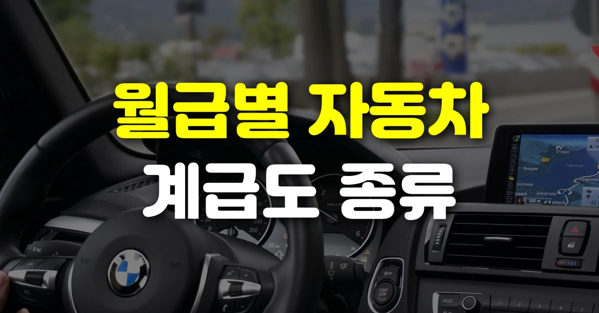 월급별 자동차 계급도 종류