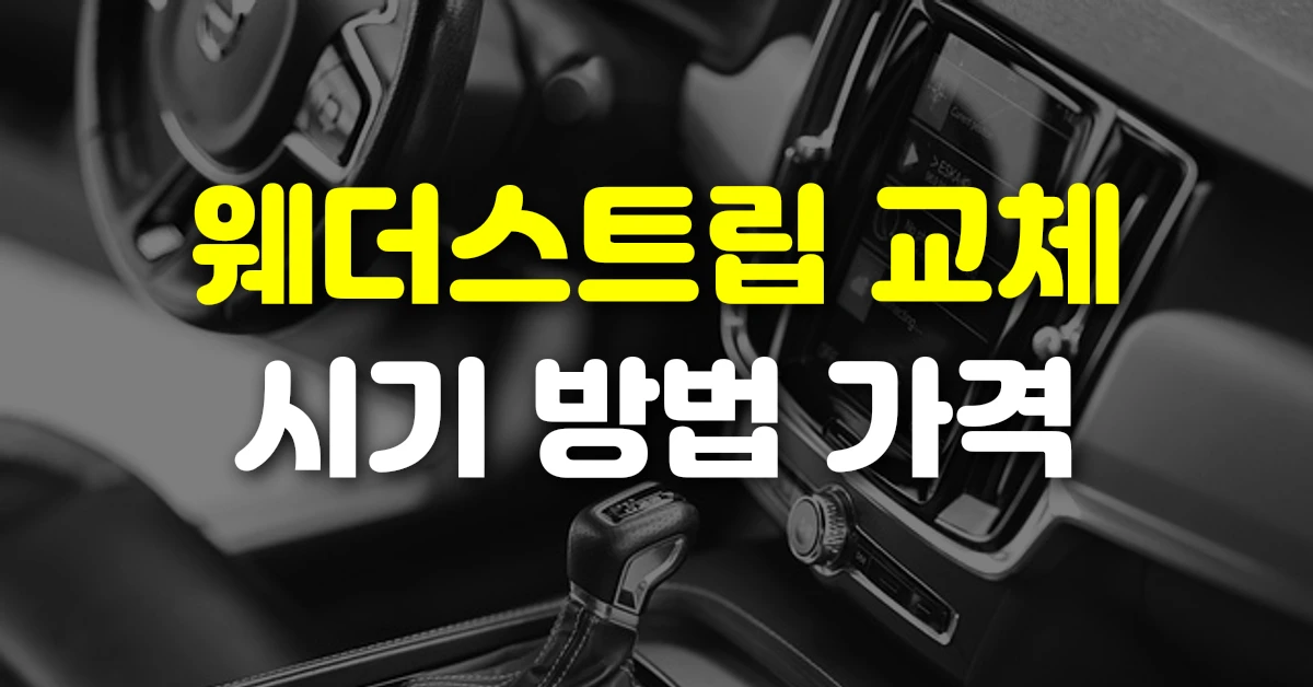 웨더스트립 교체 시기 방법 가격