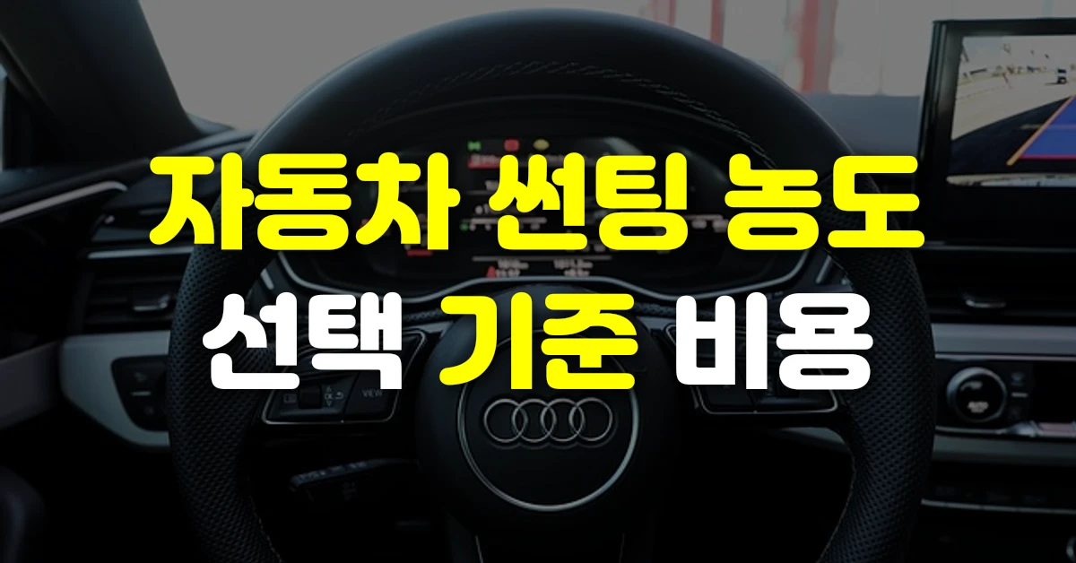 자동차 썬팅 농도 선택 기준 비용