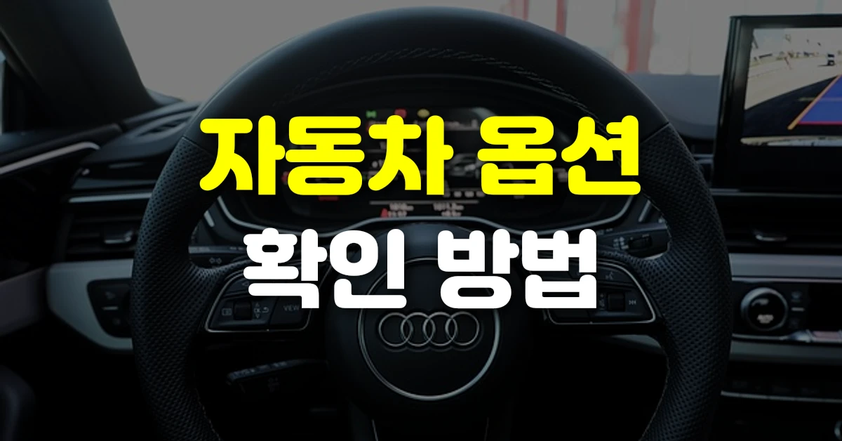 자동차 옵션 확인 방법