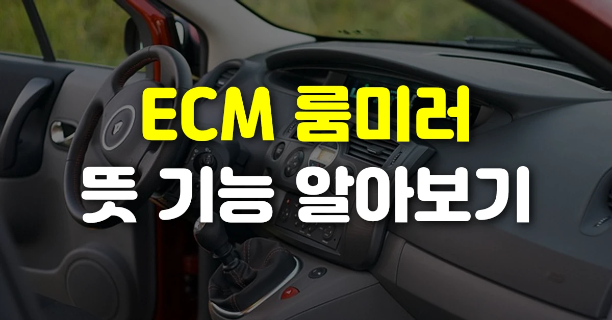 ECM 룸미러 뜻 기능 알아보기