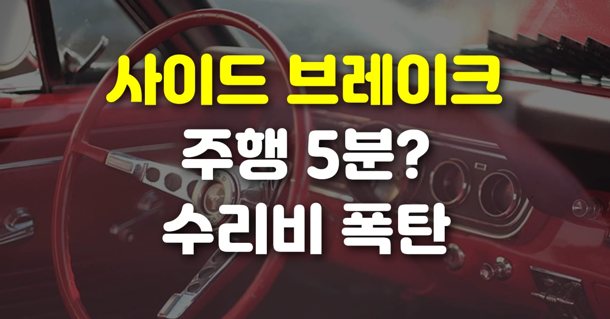 사이드 브레이크 주행 5분? 수리비 폭탄