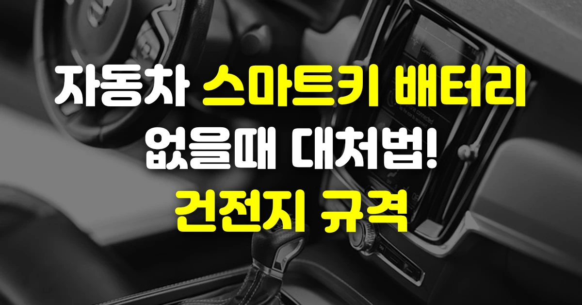 자동차 스마트키 배터리 없을때 대처법! 건전지 규격
