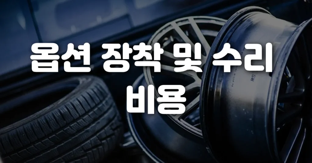옵션 장착 및 수리 비용