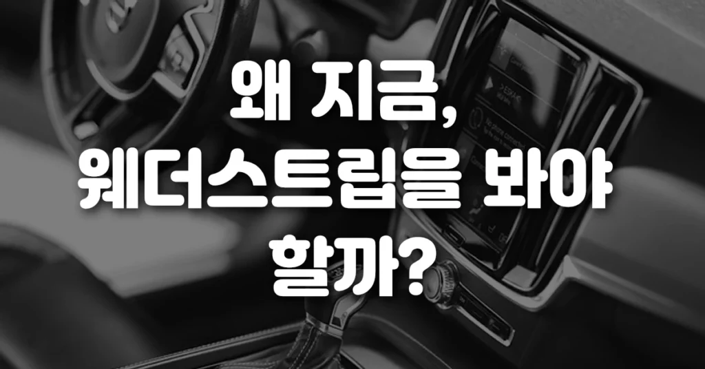왜 지금,웨더스트립을 봐야할까