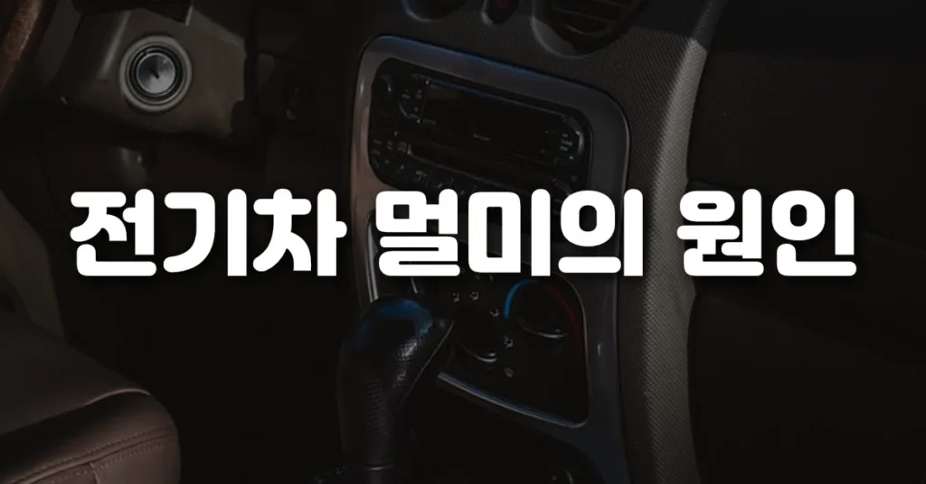 전기차 멀미의 원인