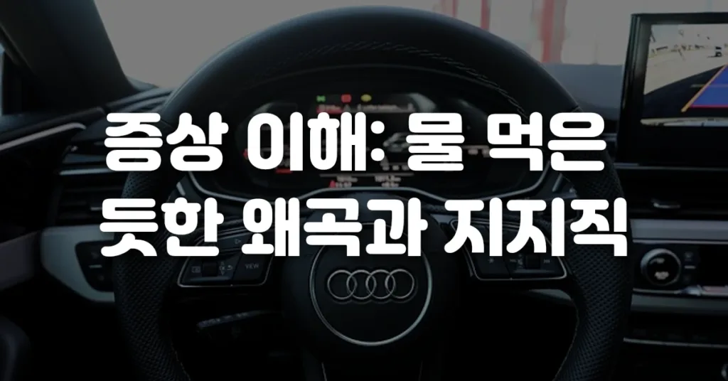 증상 이해 물 먹은 듯한 왜곡과 지지직