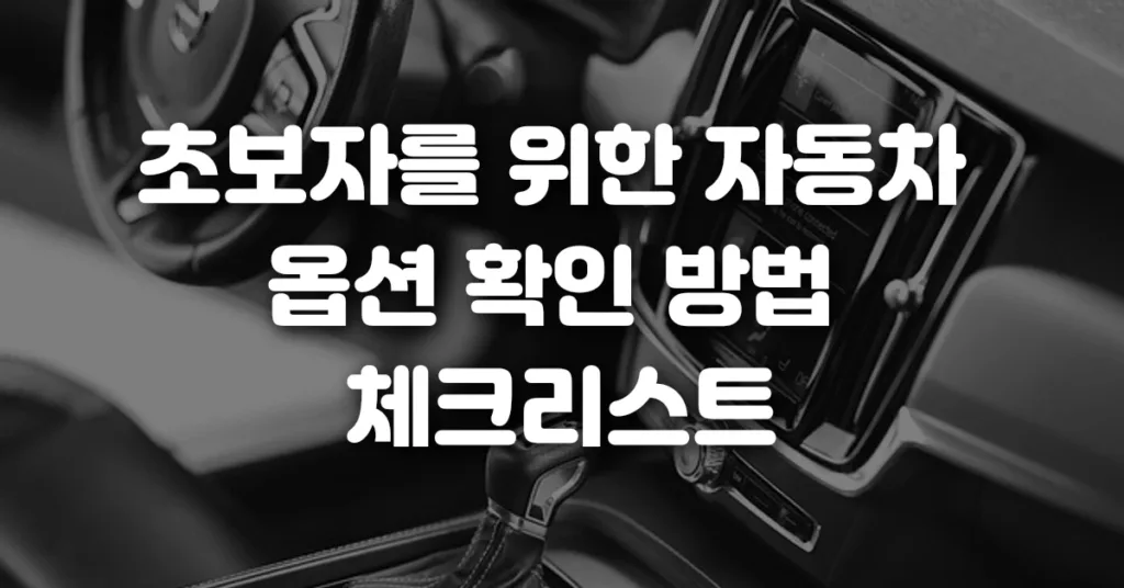 초보자를 위한 자동차 옵션 확인 방법 체크리스트