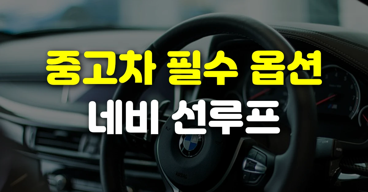중고차 필수 옵션 네비 선루프